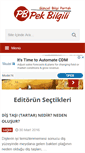 Mobile Screenshot of pekbilgili.com