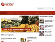 Tablet Screenshot of pekbilgili.com